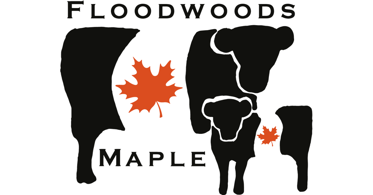 Floodwoods Maple Syrup The Finest Pure Maple Syrup Shop Online