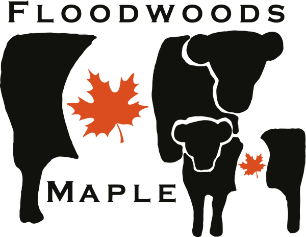 Floodwoods Maple
