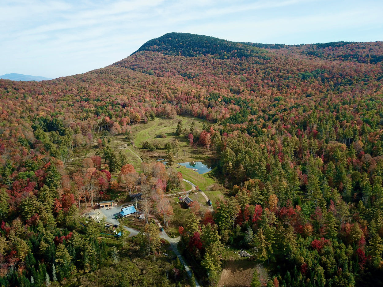 About Us Floodwoods Maple